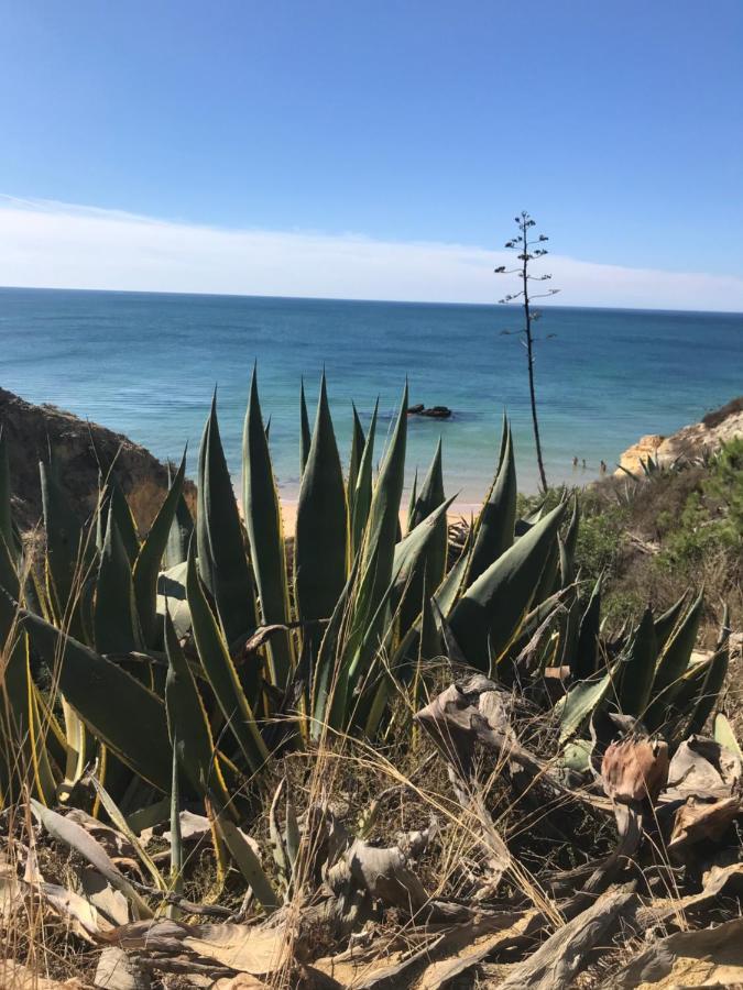 Apartmán Nid De Reve Armação de Pêra Exteriér fotografie