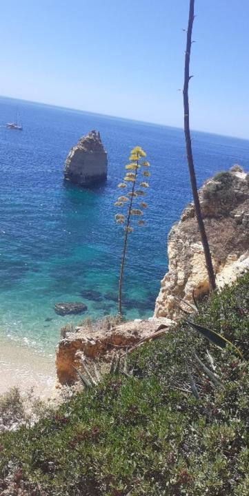 Apartmán Nid De Reve Armação de Pêra Exteriér fotografie